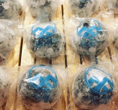 福巡り・今週末限定餡は白なめらか餡！