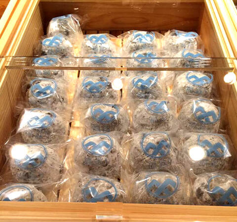 今週末の福巡り限定餡は梅餡です！